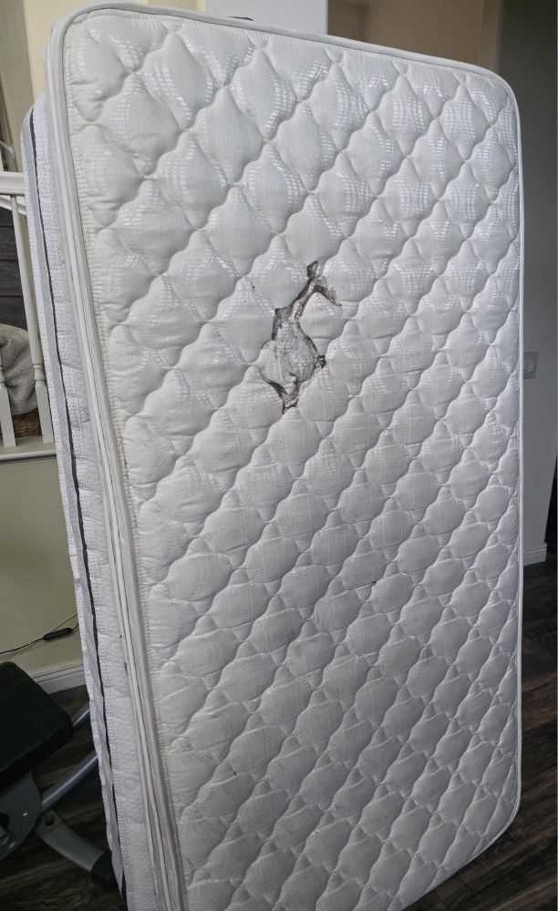 2 Twin Mattresses