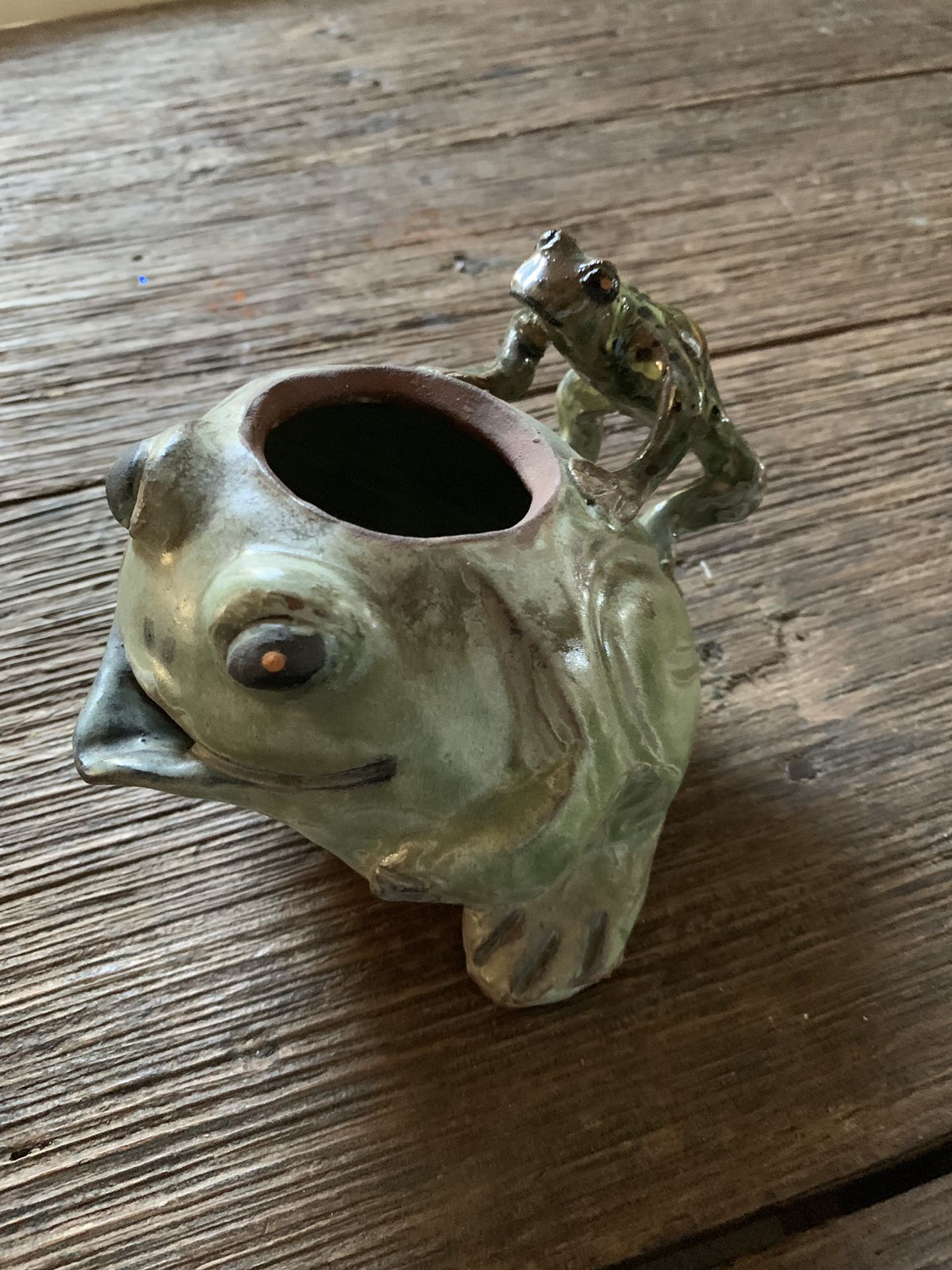 Frog 🐸 flower pot