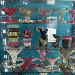 Harnesses and Collars For Dogs 