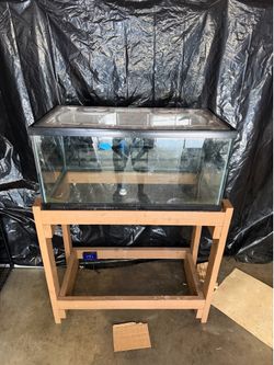 40 gallon with stand