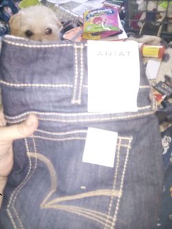 Ariat women's pants