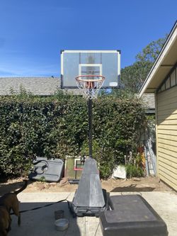 Basketball Hoop