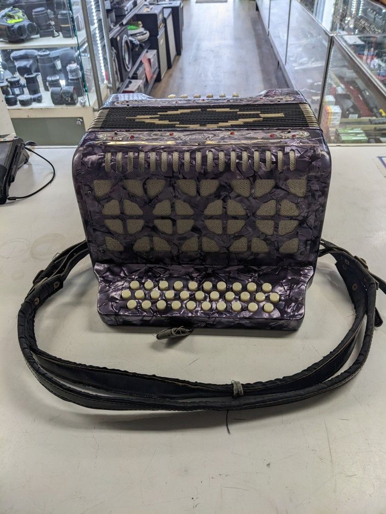 Rossetti Accordian With Case