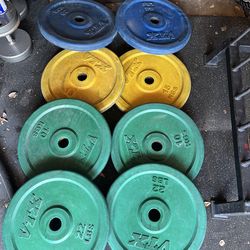 Bumper plates Olympic weights