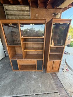 Living Room Cabinet/Entertainment Center