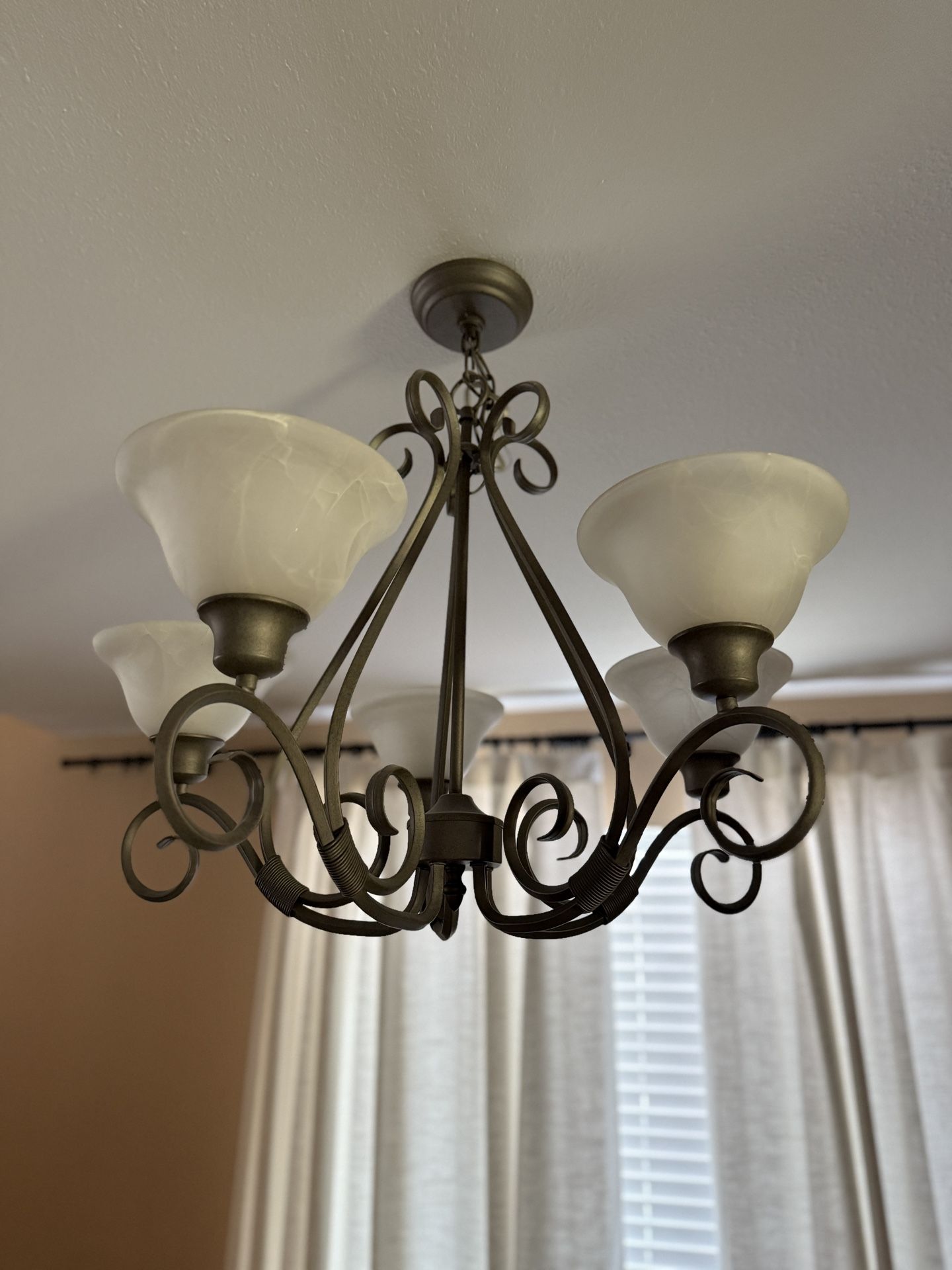 Ceiling Light Fixture 