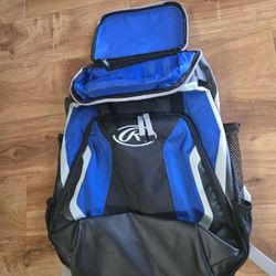 baseball/softball bag