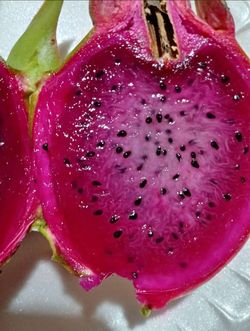 dragon fruit o pitaya