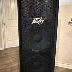 Peavy 215 With Powered Amp Like New 