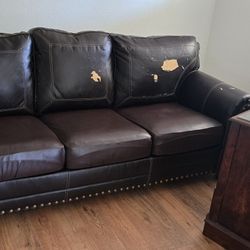 Free Sleeper Sofa