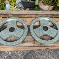PAIR  OF  25  LB.  OLYMPIC  EASY  GRIP  PLATES 