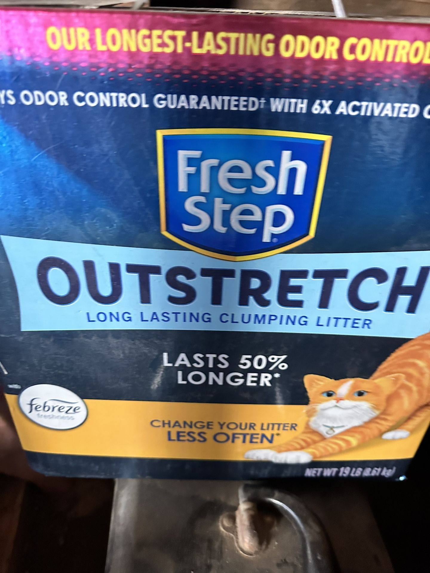 Cat Stuff