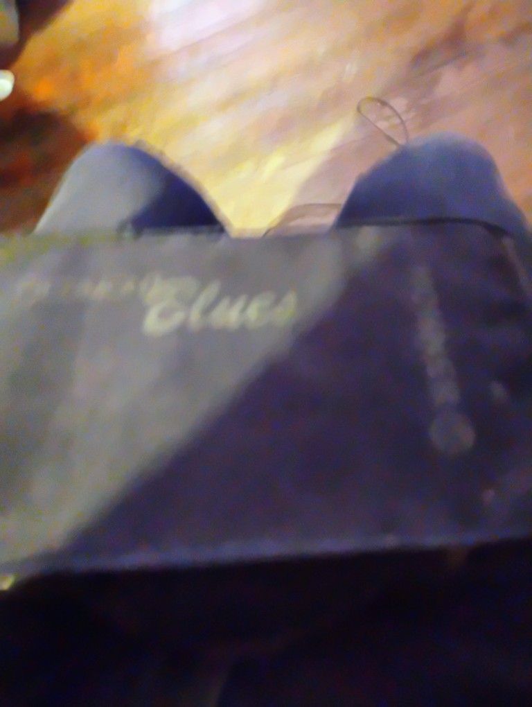 Hohner Harmonica Set 