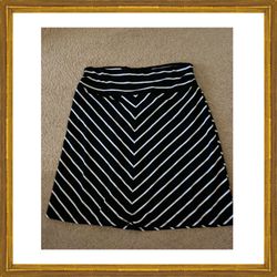 Women’s Size Large Skirt