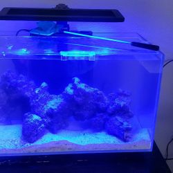 12 gallon Fish Tank For Sale. 