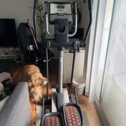FREE Elliptical 