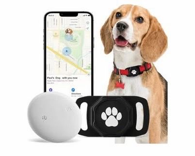 Smart Pet Tracker For Collar - No Monthly Fee