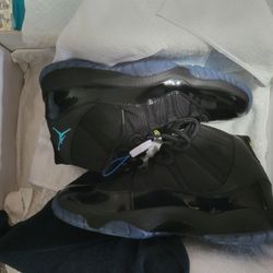 Jordan 11 Gamma 2013