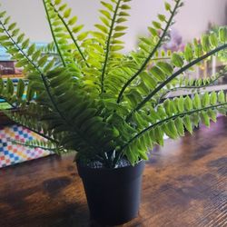  Small Arteficial Plants 