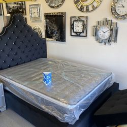 French Air Mattress, Boxspring, Bunkbed, Bedframe, Twin, Four Queen King, Chest Mirror, Nightstand, Dresser