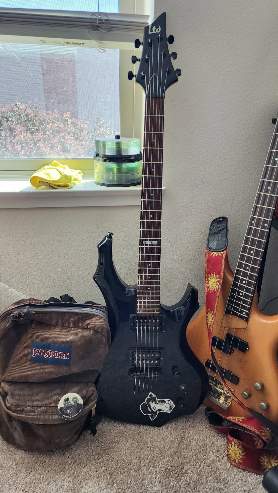 Electric Guitar LTD