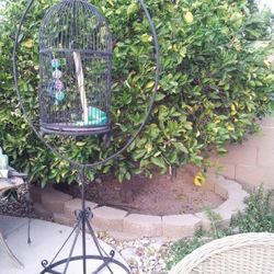 Bird Cage With Stand. Black Metal. 