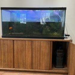 90 Gallon Aquarium