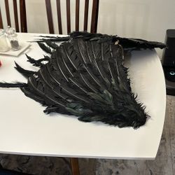 Black Feather Wings