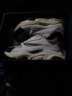 dior b22