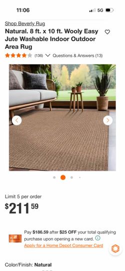 Rug 10x8