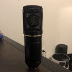 XLR Mic