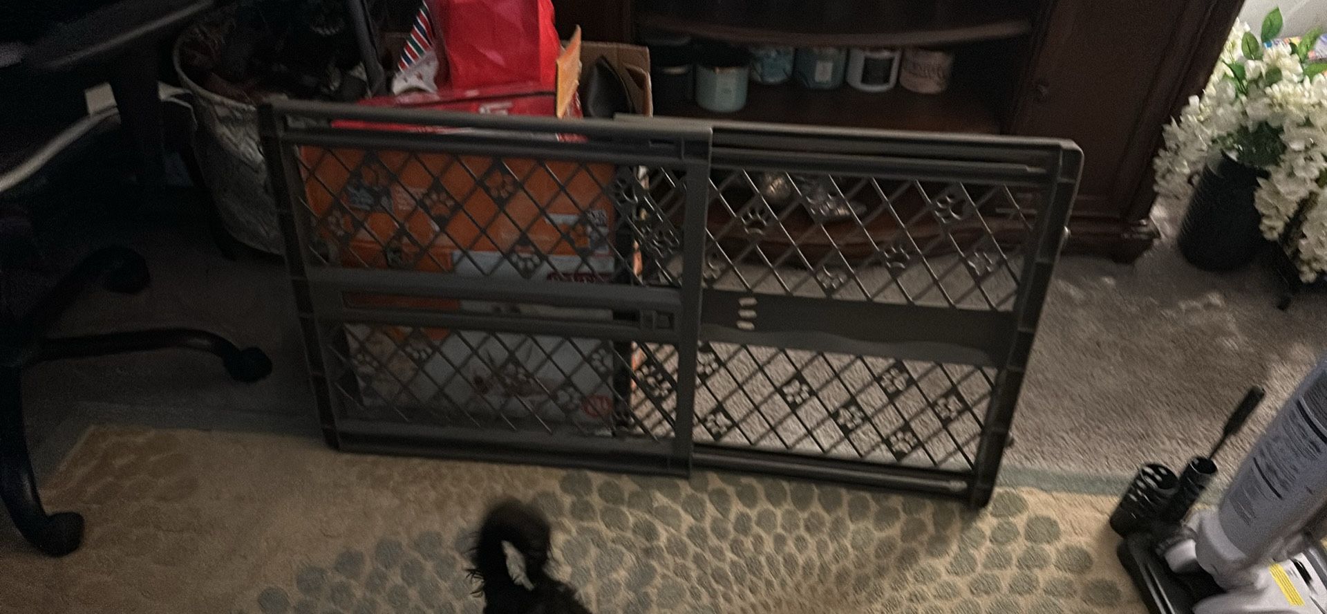 Pet Gate