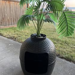 Cat Litter Box Palm