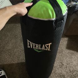 Everlast Punching Back 