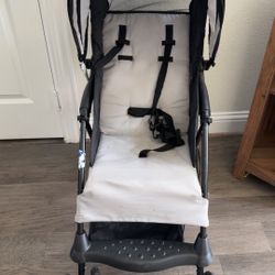 Stroller with Reclining Seat