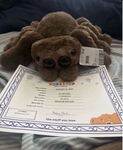 Build a bear