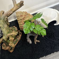 Bearded dragon decoration enclosure