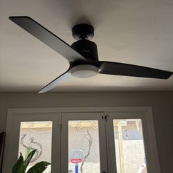 Hunter Ceiling Fan
