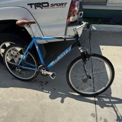 Specialized Mountain Bike 