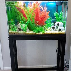 30 Gallon Fish Tank