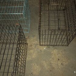 I’m Tired Of Carrying These Dog Kennels 