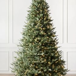 Balsam Hill 7.5' Balsam Fir Artificial Christmas Tree