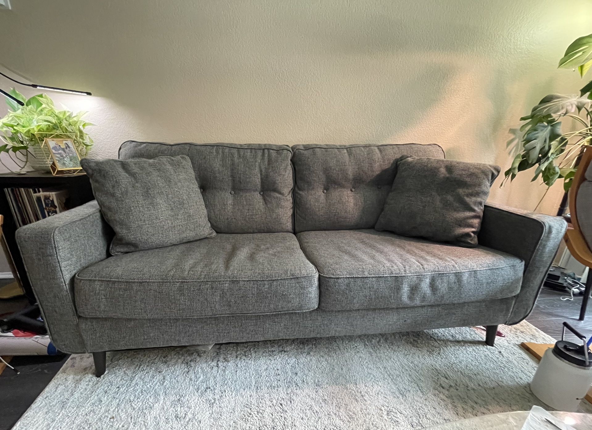 Zardoni Couch