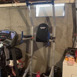 Pro PT Pull-up AB /Dip Machine 