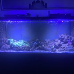 150 Gallon Tank