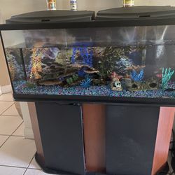 55 Gallon Fish Tank