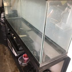 55 Gal Fish Tank