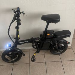 Insdrgn Electric Bike 