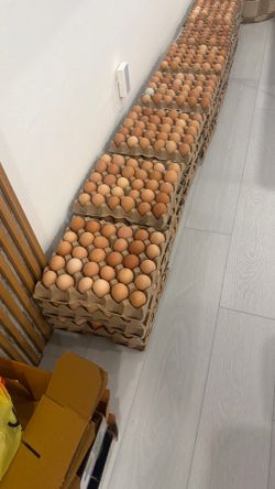 Huevo criollo