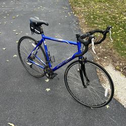 Schwinn Bicycle